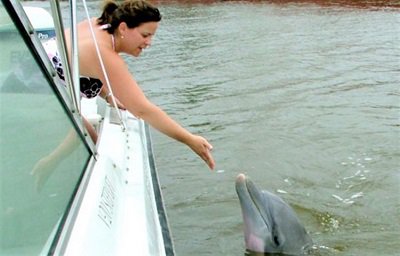 Things To Do https://oceanfrontcottage.icnd-cdn.com/images/thingstodo/listing-7873-dolph1-lrg0-14af4bb65056a36_14af4c79-5056-a36a-08695177249c2c34 (2).jpg